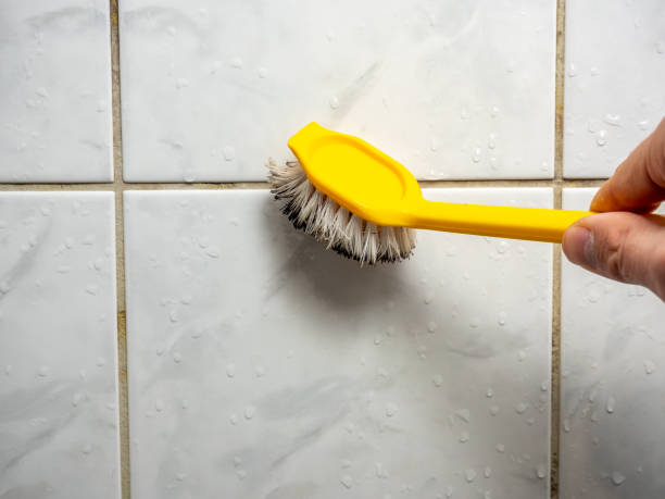 Best Office Mold Removal Services  in South Haven, IN