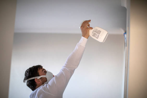 Best Residential Mold Removal  in South Haven, IN